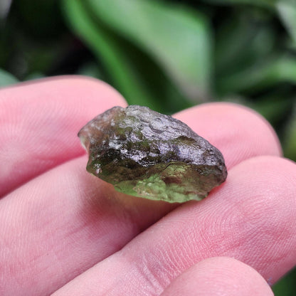 Poison Green Moldavite Crystal 2.02g: Authentic Raw Moldavite Specimen