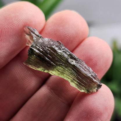 Moldavite Specimen from Vrabce 2.07g