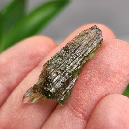 Moldavite Specimen from Vrabce 2.07g