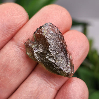 Moldavite Specimen 1.96g