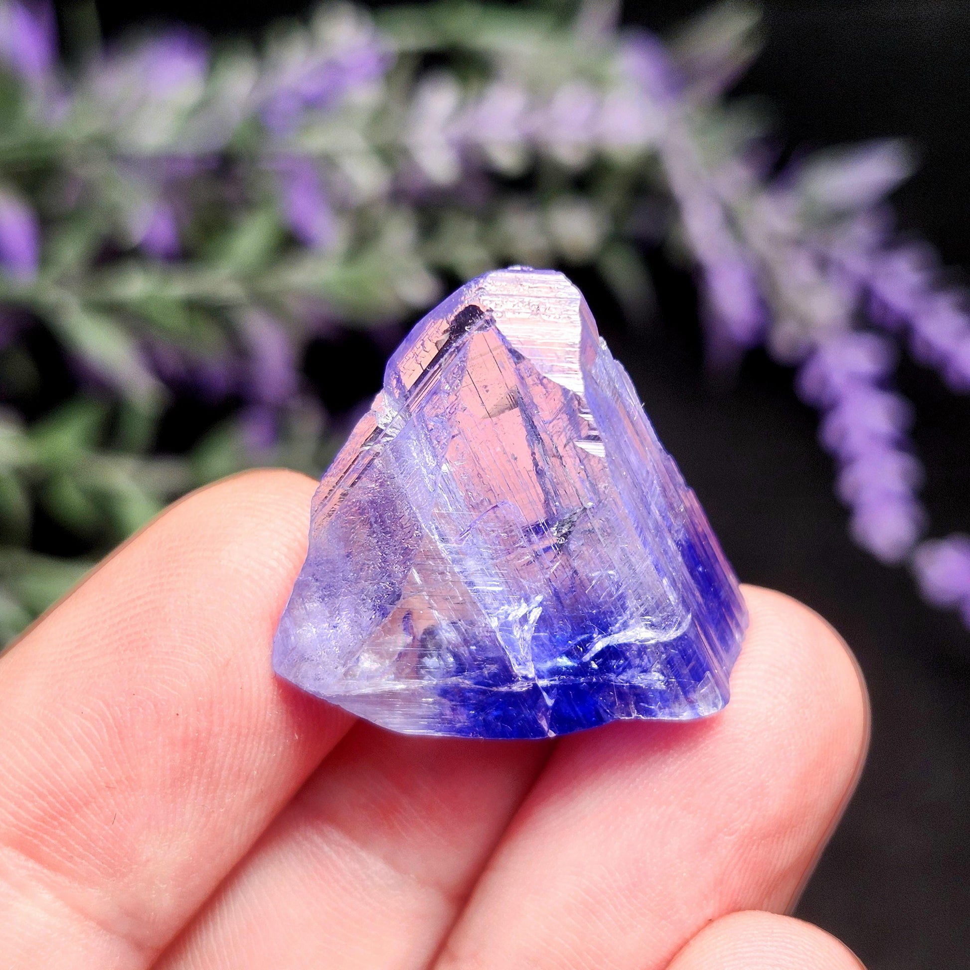 May include: A faceted, blue-violet tanzanite crystal. The gemstone is held in a hand, with a blurred background of purple flowers. The crystal's facets reflect light, showcasing its color variations from deep blue to pale violet.