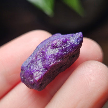 Gel Sugilite & Blue Richterite Crystal 4.93g, South African Raw Sugilite Specimen OLD STOCK