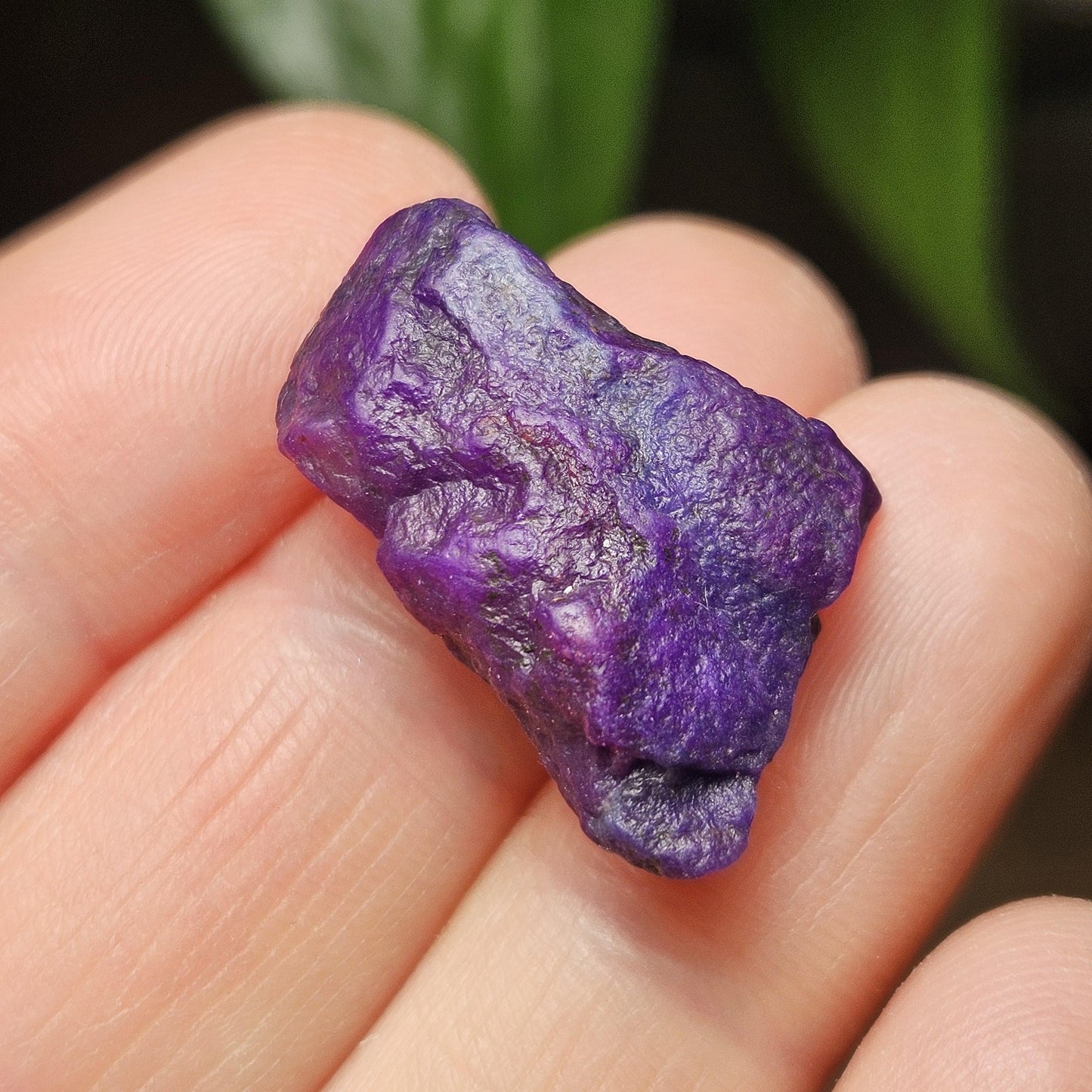 Gel Sugilite & Blue Richterite Crystal 4.93g, South African Raw Sugilite Specimen OLD STOCK