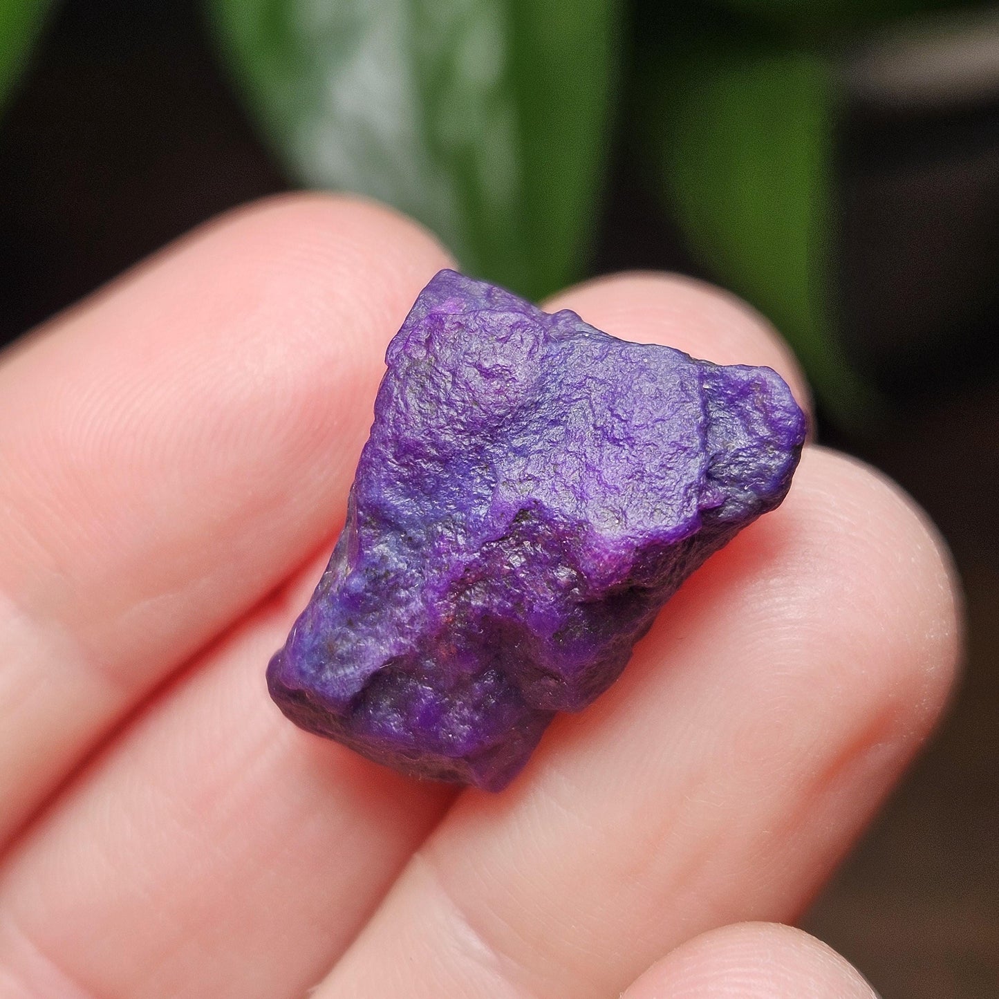 Gel Sugilite & Blue Richterite Crystal 4.93g, South African Raw Sugilite Specimen OLD STOCK