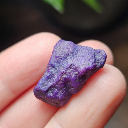 Gel Sugilite & Blue Richterite Crystal 4.93g, South African Raw Sugilite Specimen OLD STOCK