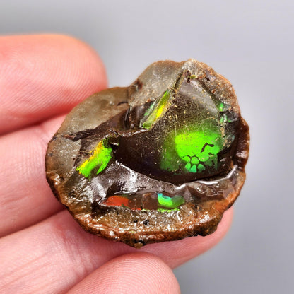 Rainbow Water Opal Specimen 7.2g, Welo Ethiopian Chocolate Opal Crystal