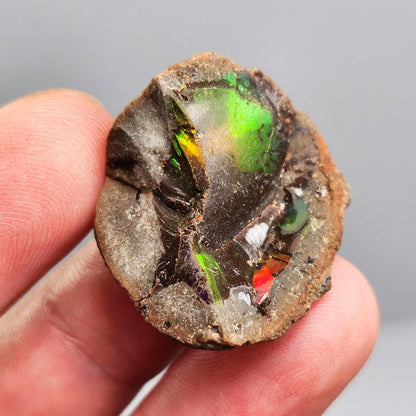 Rainbow Water Opal Specimen 7.2g, Welo Ethiopian Chocolate Opal Crystal