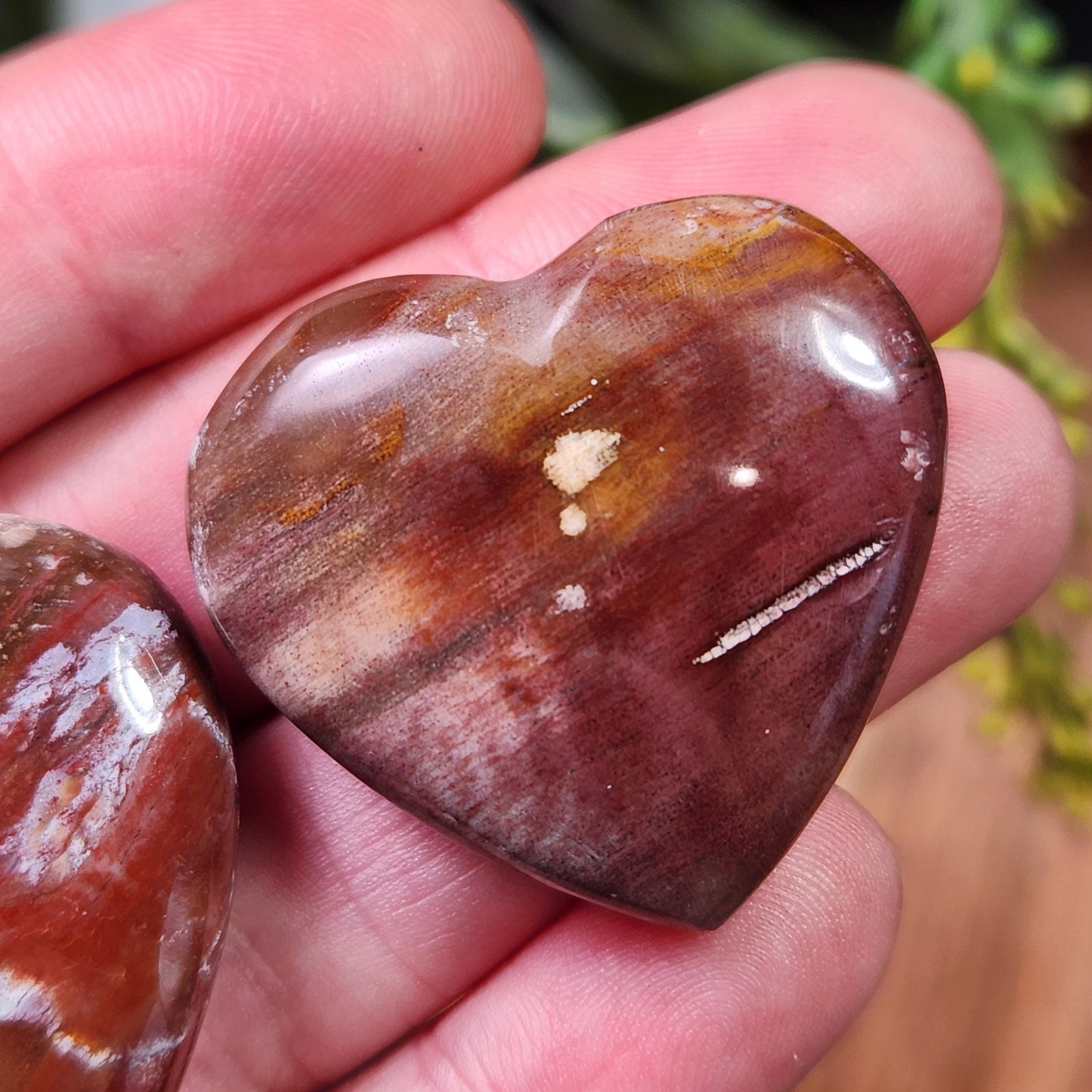 Petrified Wood Fossil Heart Carving, Agatized Wood Crystal Heart