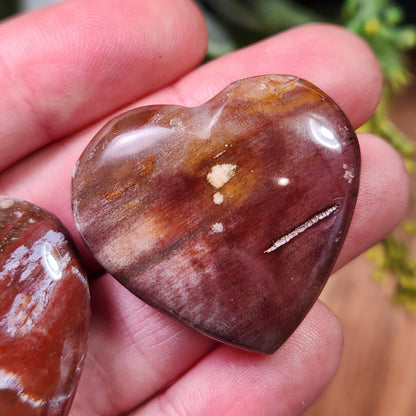 Petrified Wood Fossil Heart Carving, Agatized Wood Crystal Heart