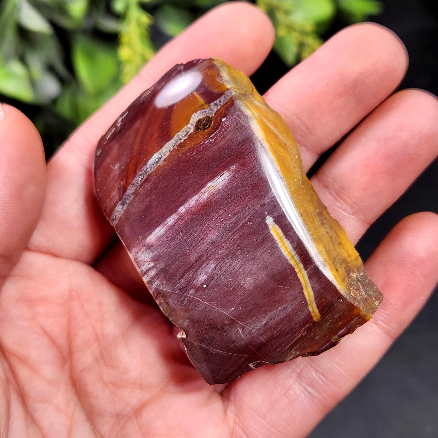 Petrified Wood Crystal, Agatized Wood, Fossilized Wood Specimen