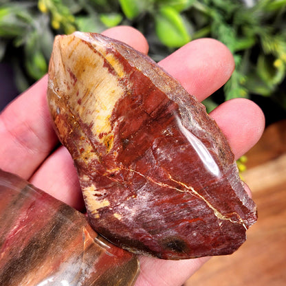 Petrified Wood Crystal, Agatized Wood, Fossilized Wood Specimen