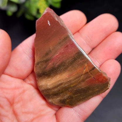 Petrified Wood Crystal, Agatized Wood, Fossilized Wood Specimen