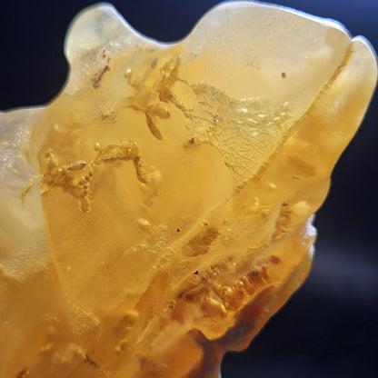 HUGE Amber with Moving Enhydro Bubble & Insect Inclusions 1.17lb