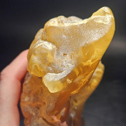 HUGE Amber with Moving Enhydro Bubble & Insect Inclusions 1.17lb