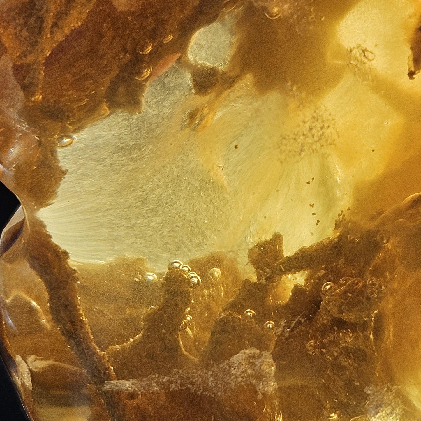 HUGE Amber with Moving Enhydro Bubble & Insect Inclusions 1.17lb