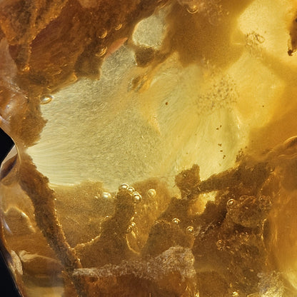 HUGE Amber with Moving Enhydro Bubble & Insect Inclusions 1.17lb