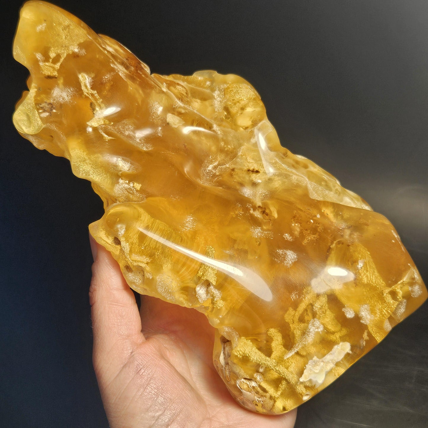 HUGE Amber with Moving Enhydro Bubble & Insect Inclusions 1.17lb