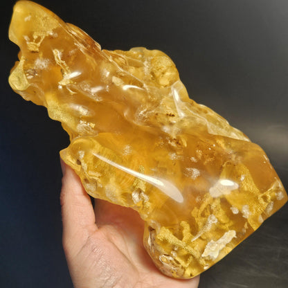 HUGE Amber with Moving Enhydro Bubble & Insect Inclusions 1.17lb