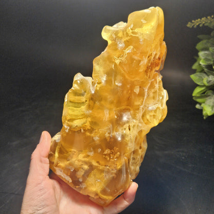 HUGE Amber with Moving Enhydro Bubble & Insect Inclusions 1.17lb