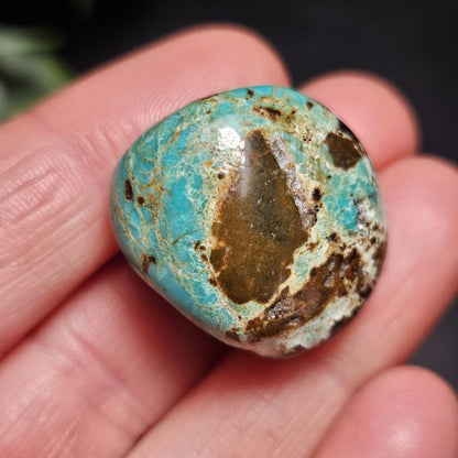 No. 8 Turquoise Tumbled Stone, Nevada Natural Turquoise Crystal