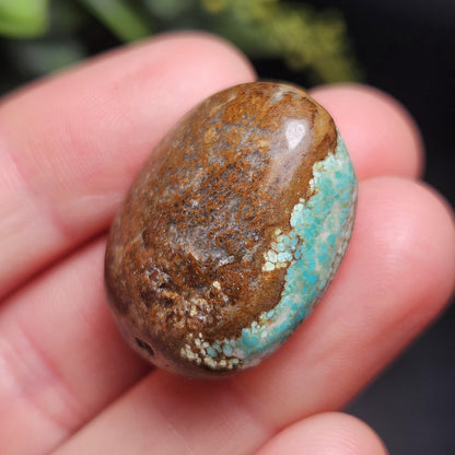 No. 8 Turquoise Tumbled Stone, Nevada Natural Turquoise Crystal