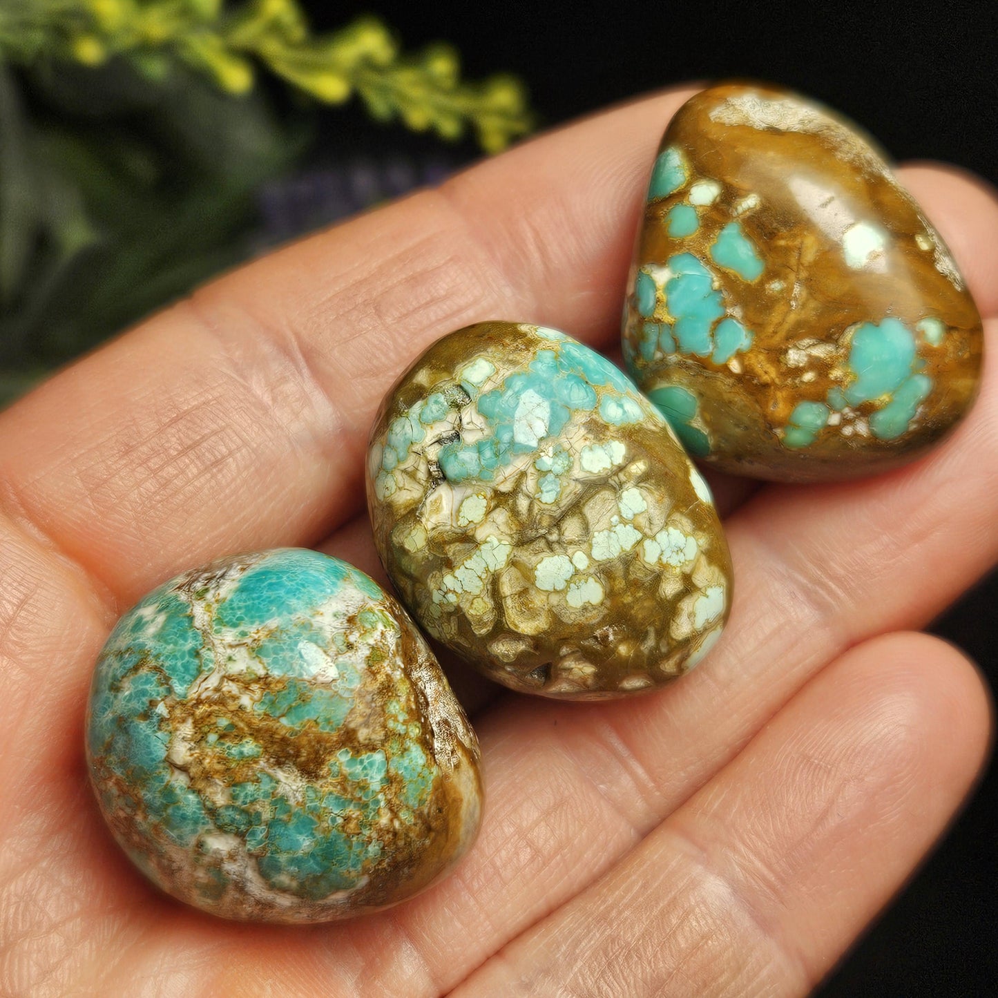 No. 8 Turquoise Tumbled Stone, Nevada Natural Turquoise Crystal