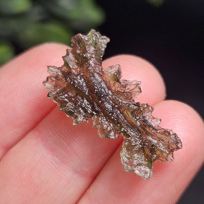Hedgehog Moldavite Specimen from Besednice 1.45g, Moldavite Crystal