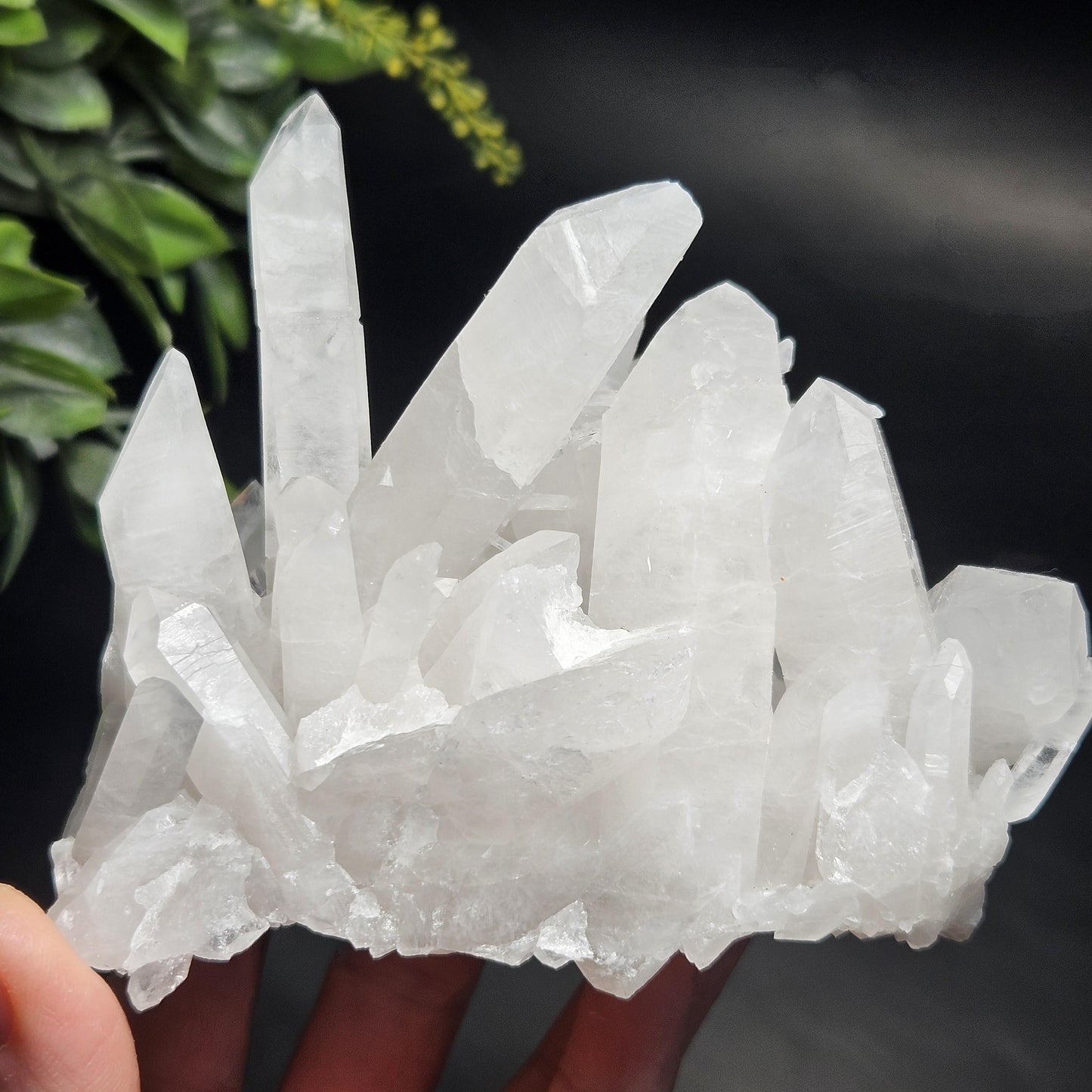 Arkansas Quartz Crystal Cluster 467g, Spiky Self