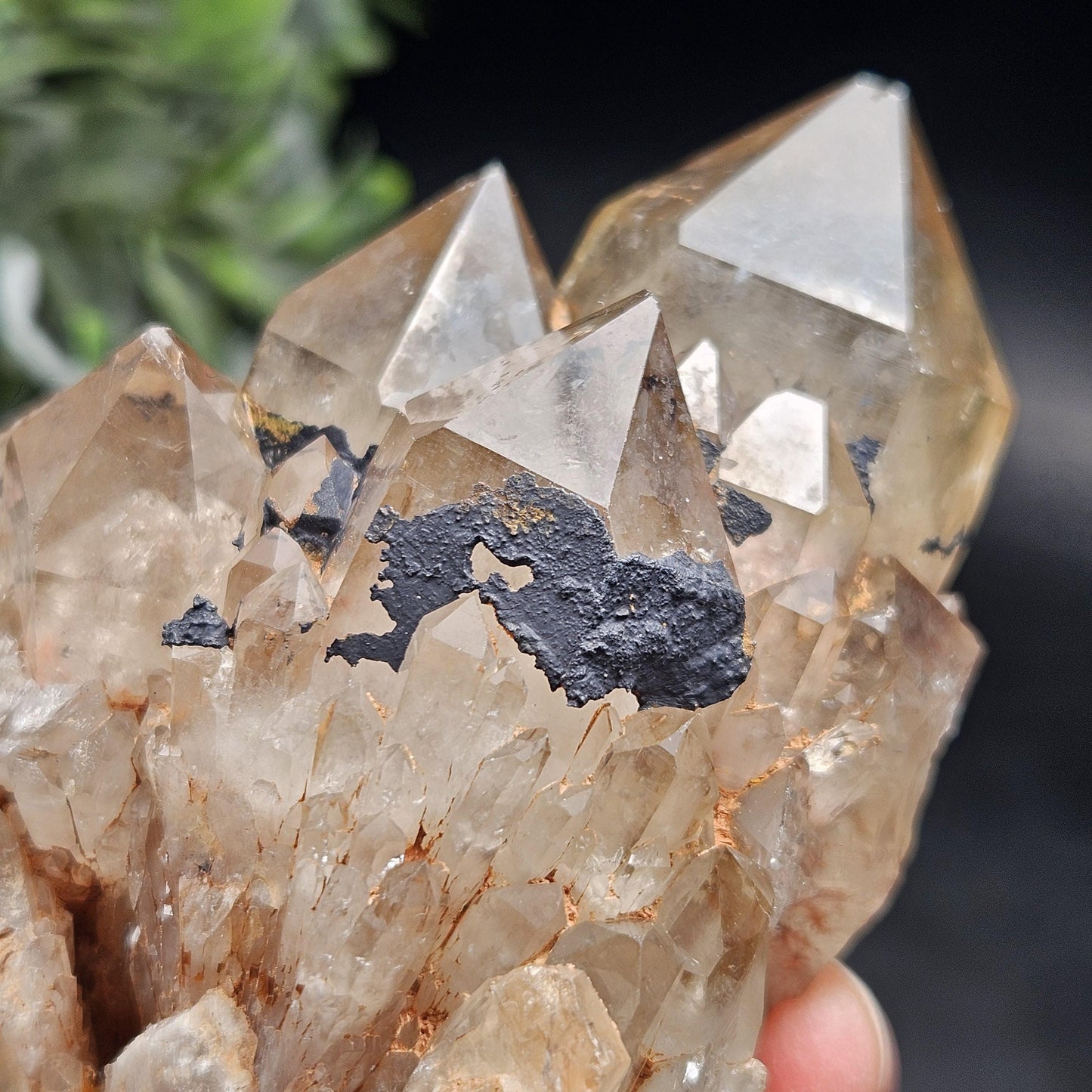 Kundalini Quartz, Natural Congo Citrine Cluster 499g, Smoky Citrine
