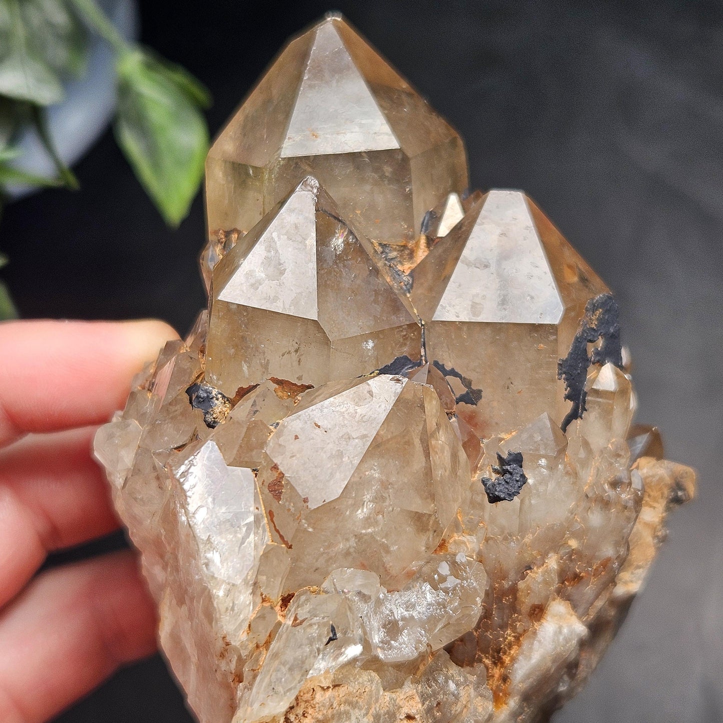 Kundalini Quartz, Natural Congo Citrine Cluster 499g, Smoky Citrine