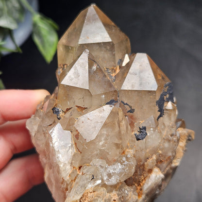 Kundalini Quartz, Natural Congo Citrine Cluster 499g, Smoky Citrine