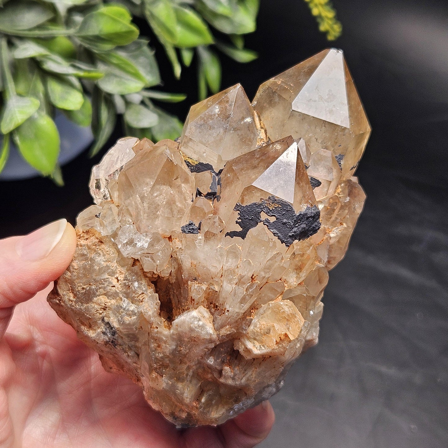 Kundalini Quartz, Natural Congo Citrine Cluster 499g, Smoky Citrine