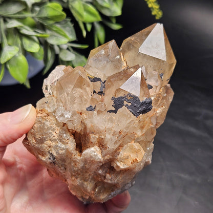 Kundalini Quartz, Natural Congo Citrine Cluster 499g, Smoky Citrine