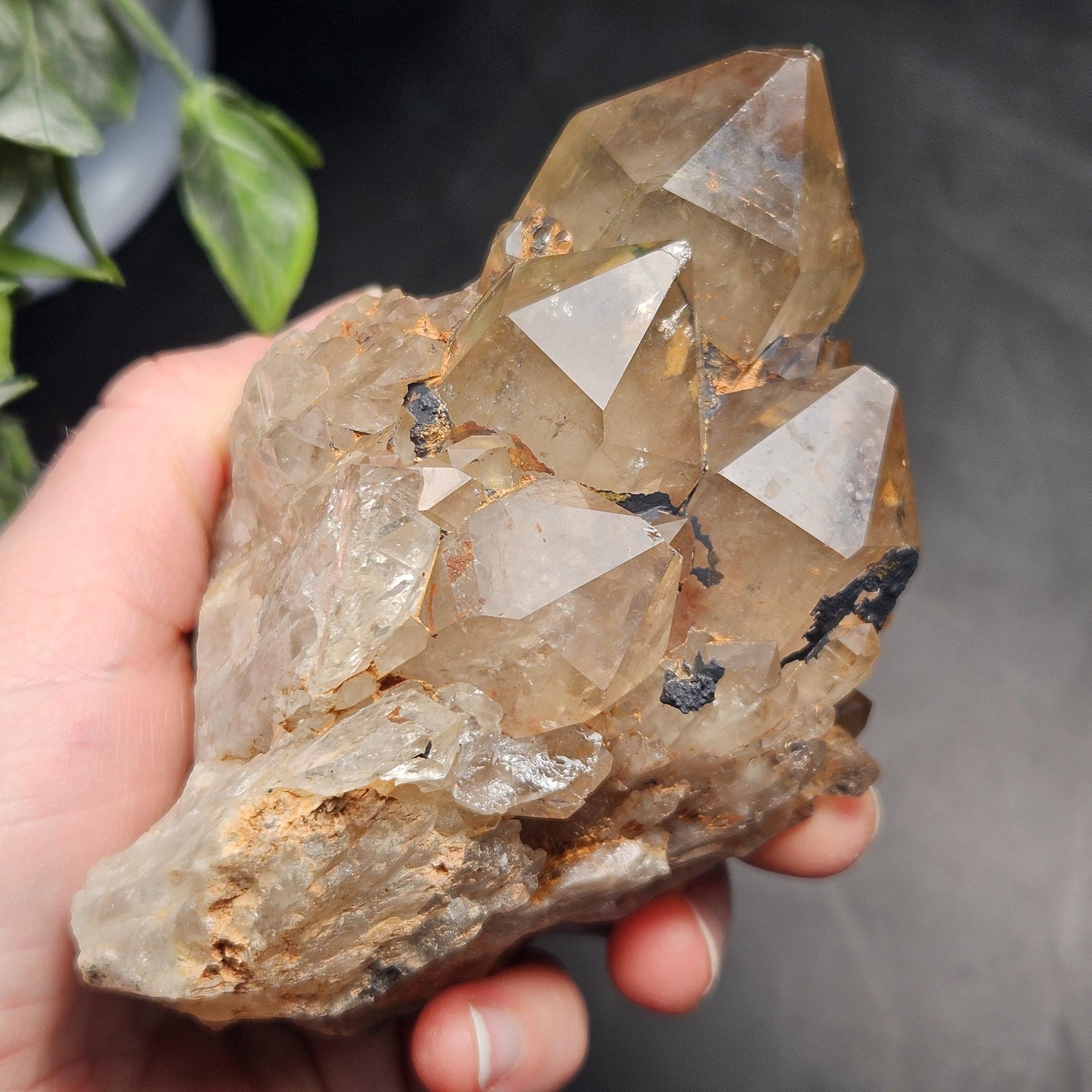 Kundalini Quartz, Natural Congo Citrine Cluster 499g, Smoky Citrine