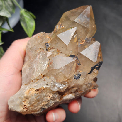 Kundalini Quartz, Natural Congo Citrine Cluster 499g, Smoky Citrine