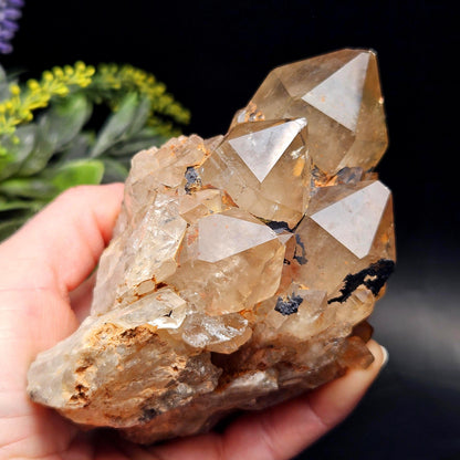 Kundalini Quartz, Natural Congo Citrine Cluster 499g, Smoky Citrine
