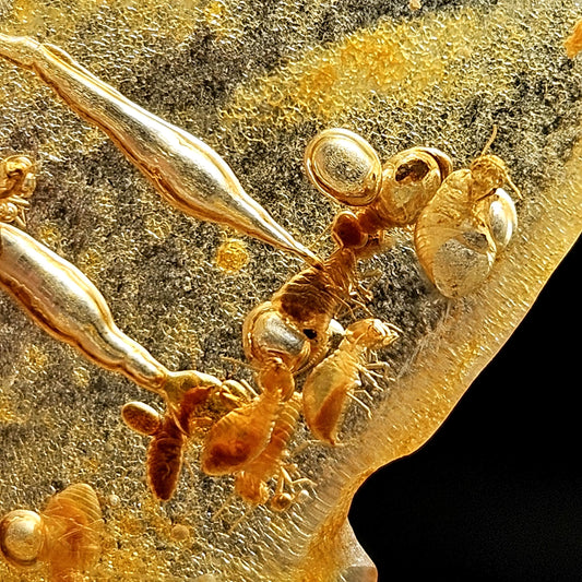 Enhydro Amber with MOVING Bubble & Insect Inclusions, 7.52g