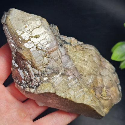 ELESTIAL Garden Quartz Crystal Cluster 295g, Brazilian Scenic Lodolite Specimen