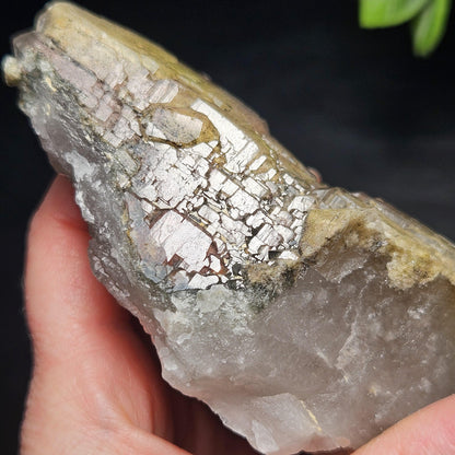ELESTIAL Garden Quartz Crystal Cluster 295g, Brazilian Scenic Lodolite Specimen