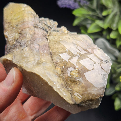 ELESTIAL Garden Quartz Crystal Cluster 295g, Brazilian Scenic Lodolite Specimen