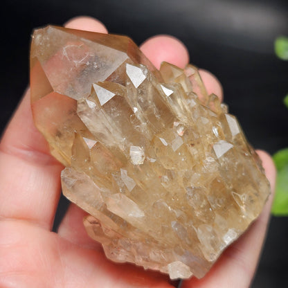 Kundalini Congo Citrine Quartz Cluster 159g, Smoky Citrine Crystal Multi