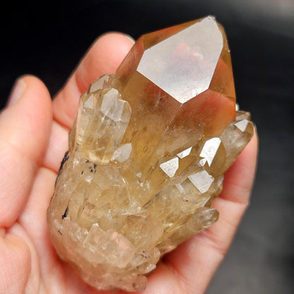 Kundalini Congo Citrine Quartz Cluster 159g, Smoky Citrine Crystal Multi