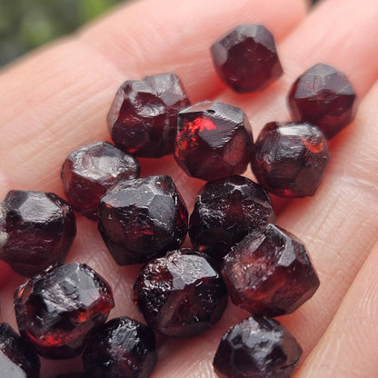 Red Garnet Crystals, Raw Dodecahedron Terminated Stones (5