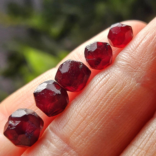 Red Garnet Crystals, Raw Dodecahedron Terminated Stones (5