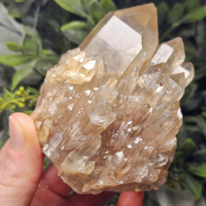 Kundalini Congo Citrine Quartz Cluster 283.5g, Smoky Citrine Crystal Multi