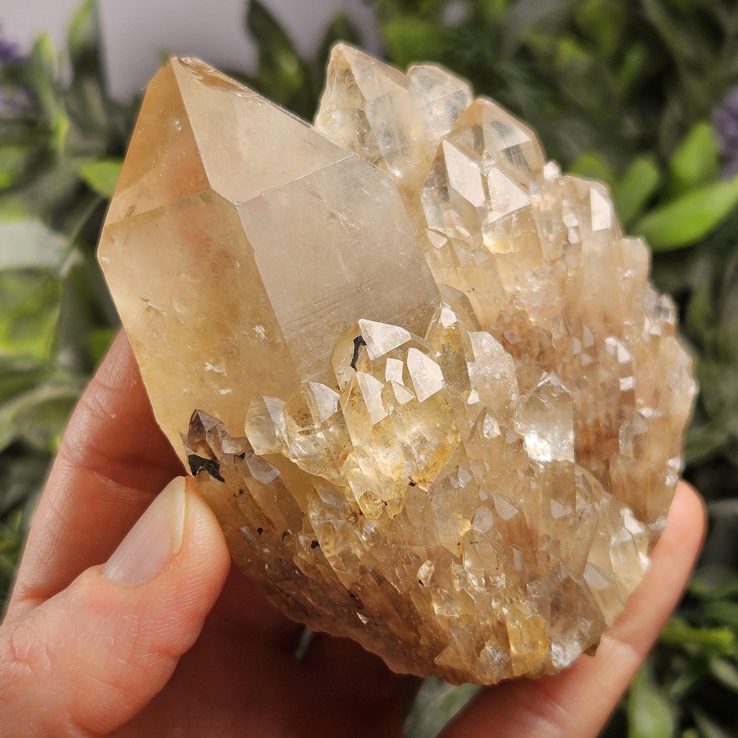 Kundalini Congo Citrine Quartz Cluster 283.5g, Smoky Citrine Crystal Multi