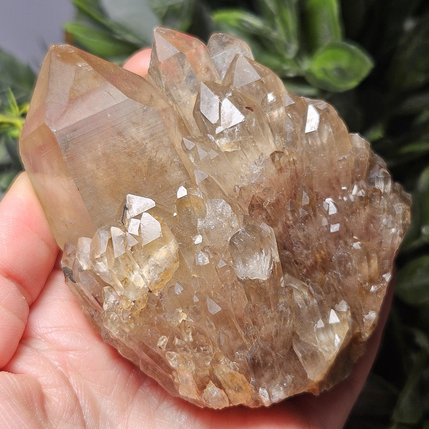 Kundalini Congo Citrine Quartz Cluster 283.5g, Smoky Citrine Crystal Multi