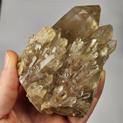 Kundalini Congo Citrine Quartz Cluster 283.5g, Smoky Citrine Crystal Multi