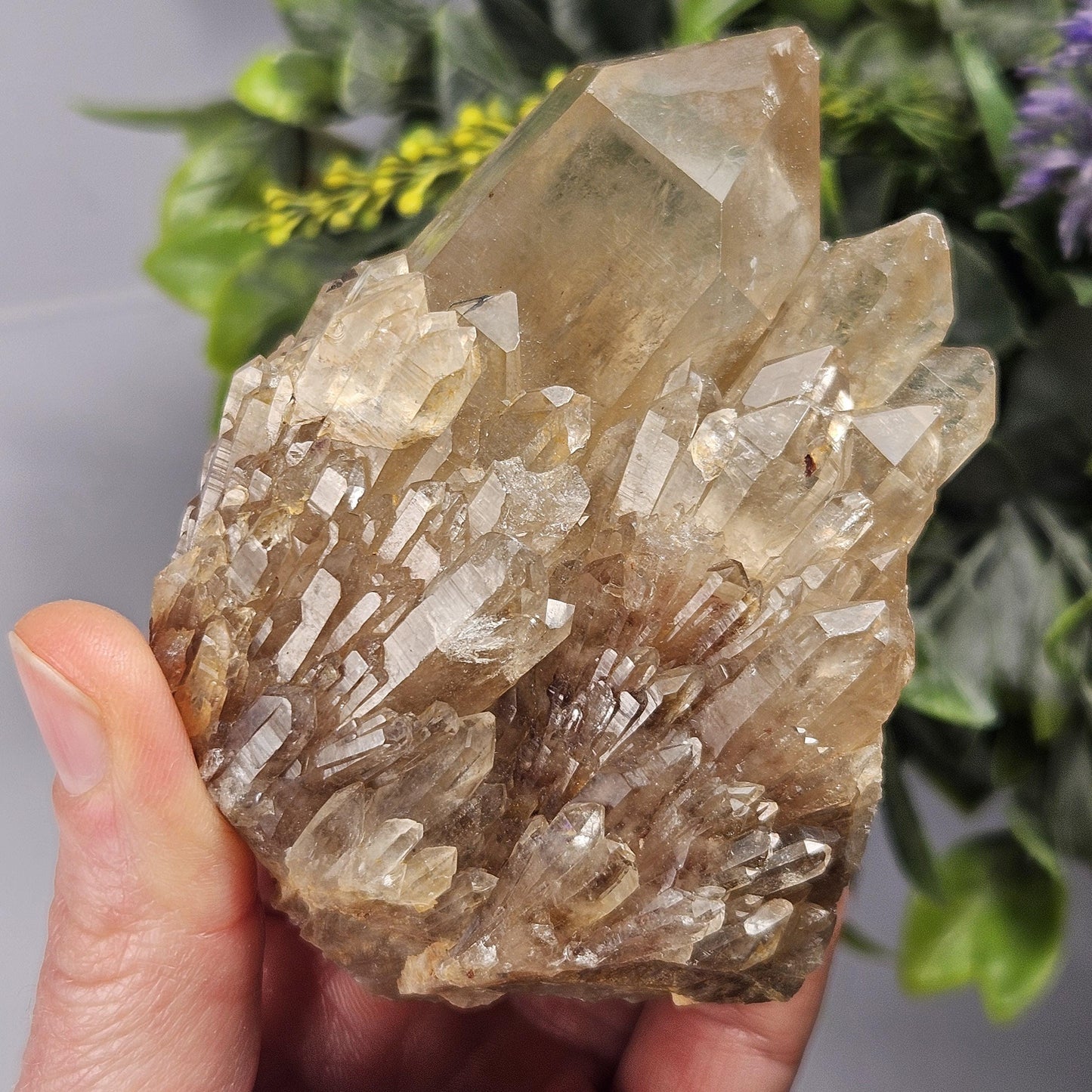 Kundalini Congo Citrine Quartz Cluster 283.5g, Smoky Citrine Crystal Multi