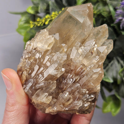 Kundalini Congo Citrine Quartz Cluster 283.5g, Smoky Citrine Crystal Multi